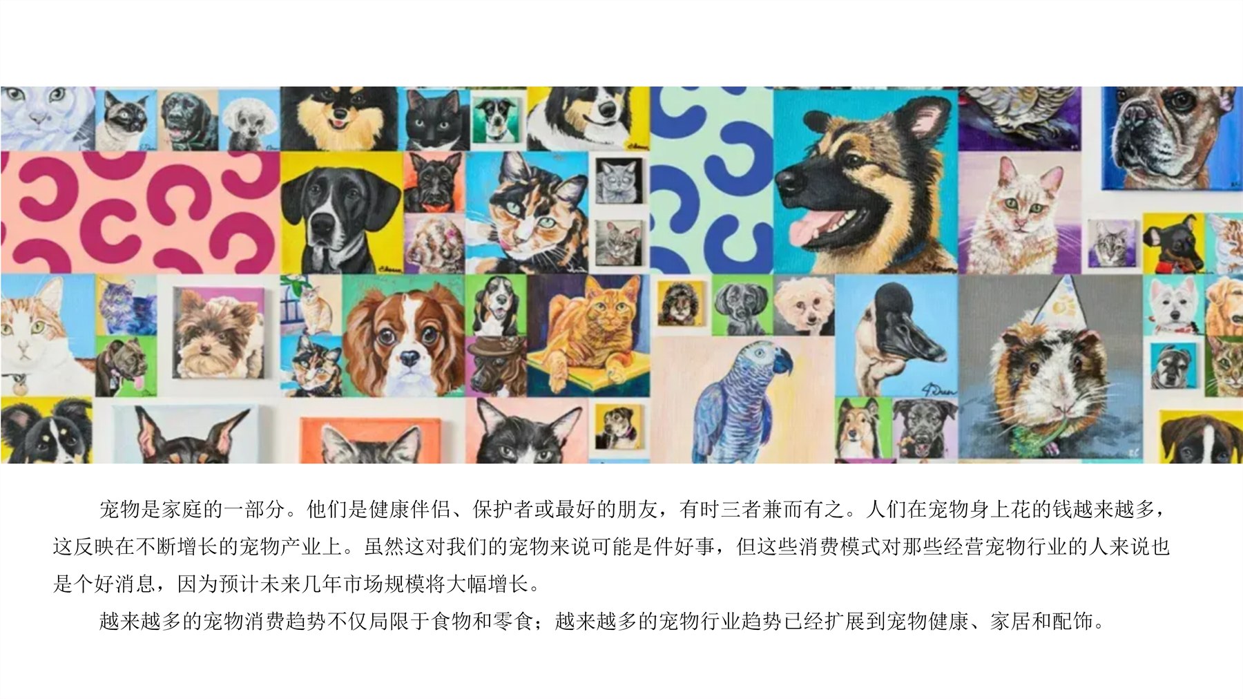 Pet Training Products 项目图 4