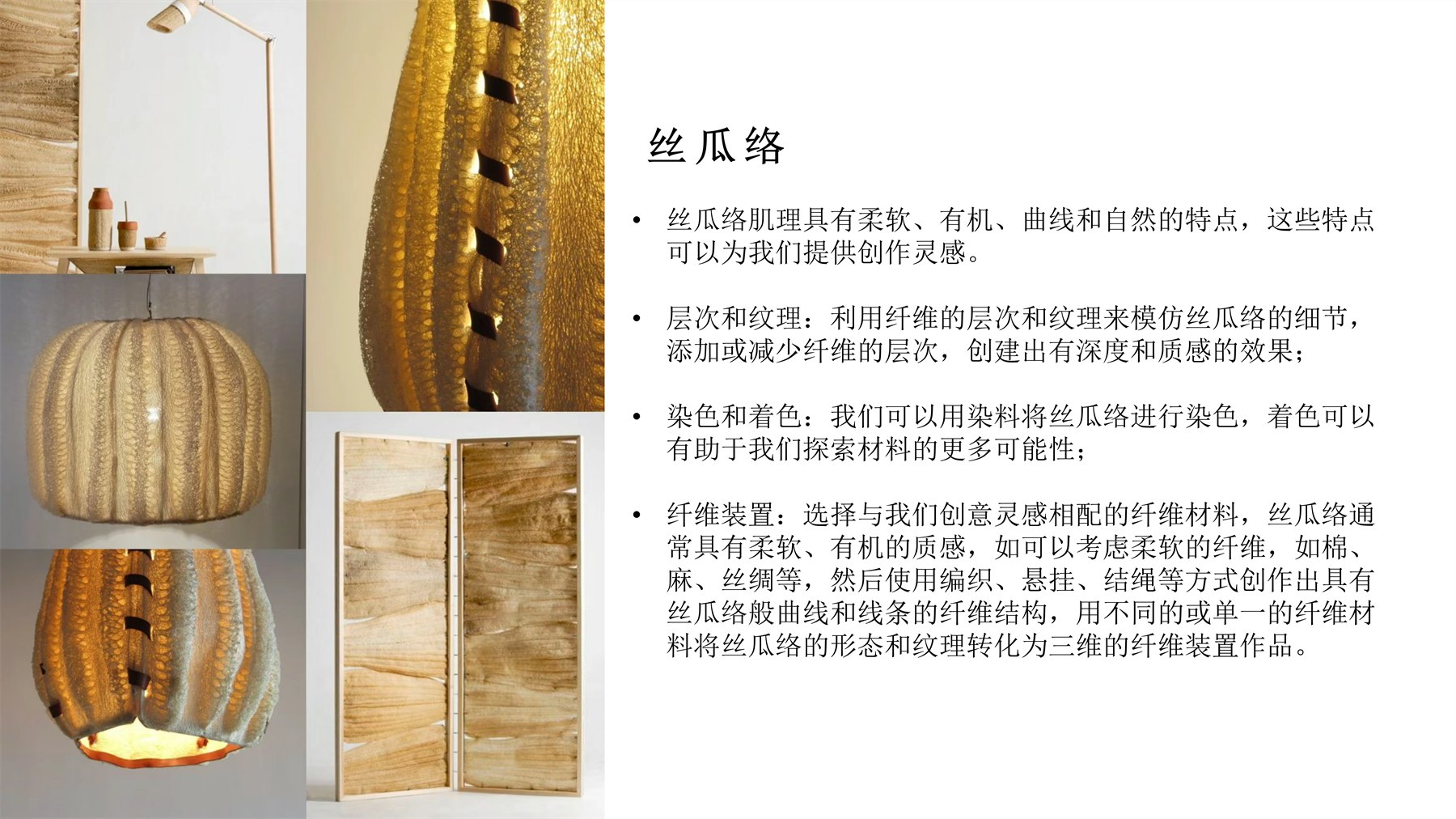 Pet Training Products 项目图 9