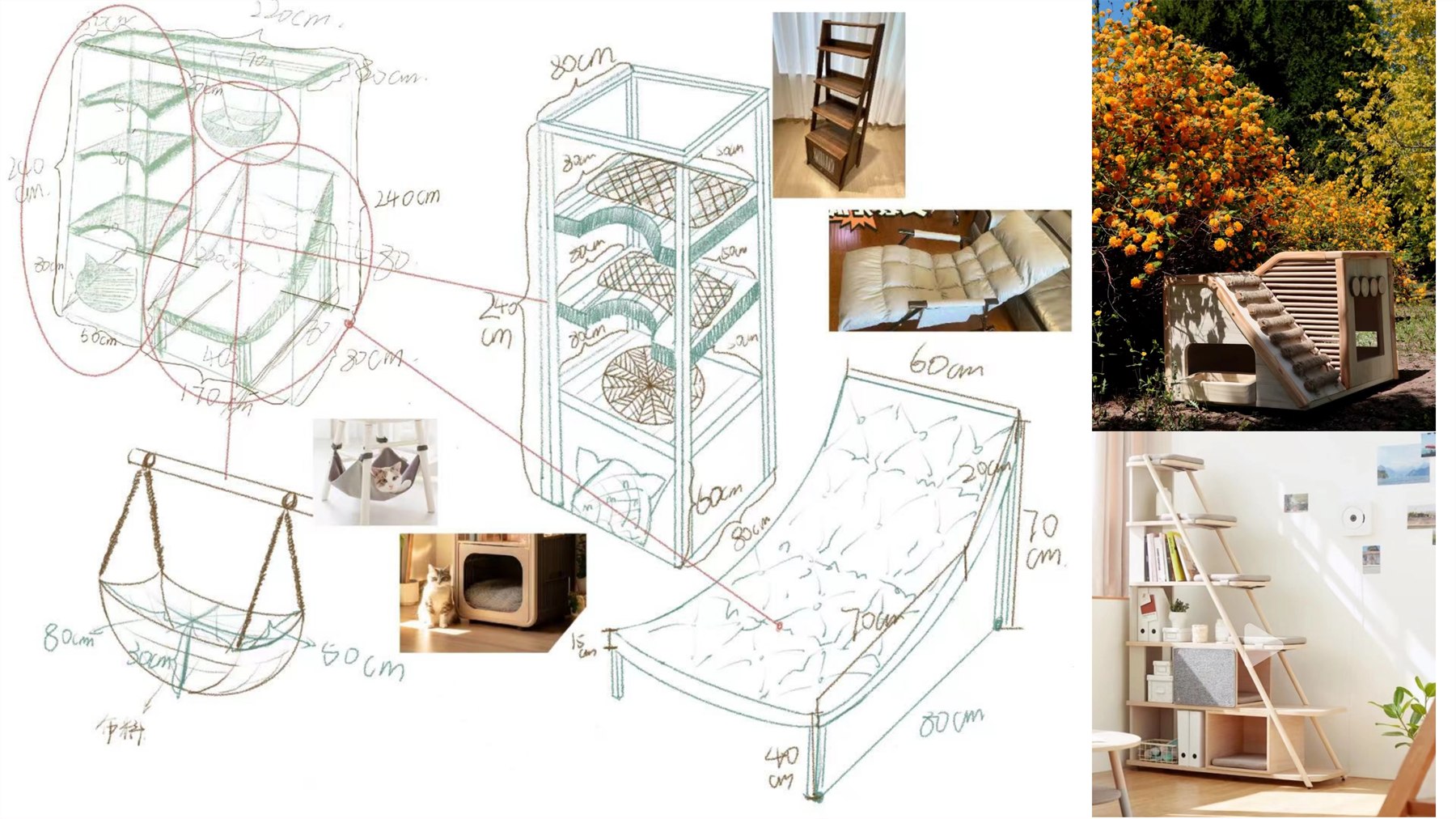 Pet Training Products 项目图 15