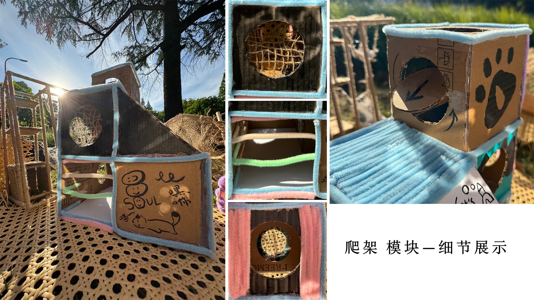 Pet Training Products 项目图 21